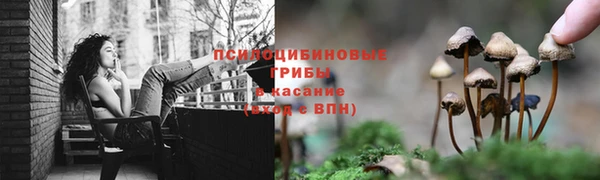 дживик Вязьма