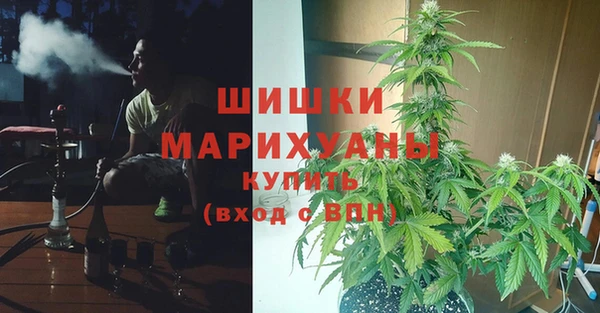 дживик Вязьма