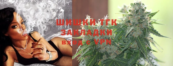 дживик Вязьма