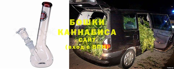 дживик Вязьма