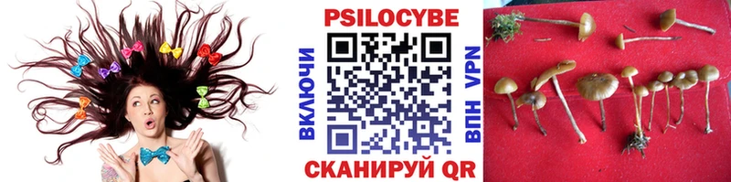 кракен рабочий сайт  Грязи  Галлюциногенные грибы Cubensis 